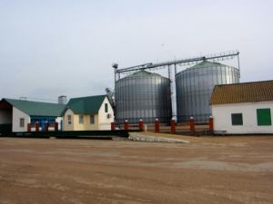 Фото елеватора Hlodoska Skifiia - компанія TOV Hlodoska Skifiia - Кіровоградська область - AgroPost
