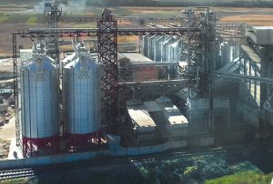 Фото елеватора Kayman-Pivnich (Zerebkivskyy elevator) - компанія Kayman-Pivnich - Одеська область - AgroPost
