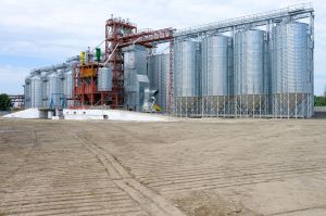 Фото елеватора Synelnykivskyy elevator (Roy SFH) - компанія Selianske (Fermerske) Hospodarstvo Roy - Дніпропетровська область - AgroPost