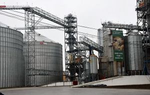 Фото елеватора Nizynskyy elevator (Baryshivska zernova kompaniia) - компанія Grain Alliance - Чернігівська область - AgroPost
