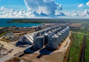 Фото елеватора Neptun (Neptune) zernovyy terminal - компанія M. V. Karho - Одеська область - AgroPost