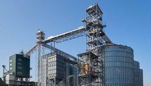 Photo of Bays-Ahro (Umanska zernova kompaniia) elevator, company HK BAYS (Umanpyvo), Cherkasy Oblast
