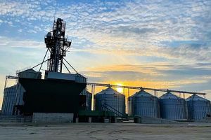 Фото елеватора MIuNNT Dolynka Ahrofirma - компанія Pryvatna ahrofirma MIuNNT - Кіровоградська область - AgroPost