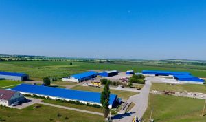 Фото елеватора Ahro KMR (Troyitske) - компанія Ahro KMR - Дніпропетровська область - AgroPost