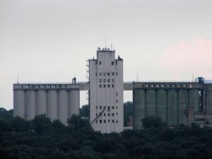 Фото елеватора Kirovohradskyy KKhP 1 - компанія DPZKU - Кіровоградська область - AgroPost