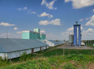 Фото елеватора Kutsivskyy elevator KARHILL - компанія Cargill - Кіровоградська область - AgroPost