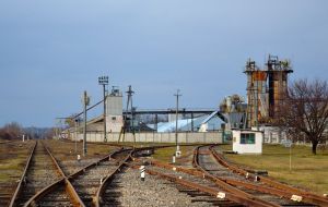 Фото елеватора Zernoliia (Khashchuvatskyy elevator) - компанія TESSLAGROUP - Кіровоградська область - AgroPost