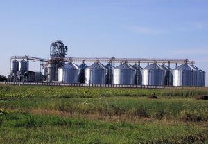 Фото елеватора Kernel elevator Viktorivka - компанія Kernel - Черкаська область - AgroPost