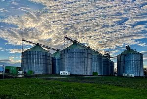 Фото елеватора Epitsentr elevator Antoniny - компанія Epitsentr Ahro - Хмельницька область - AgroPost
