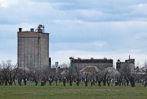 Фото елеватора Rivnenskyy elevator (Rivne) - компанія TESSLAGROUP - Херсонська область - AgroPost