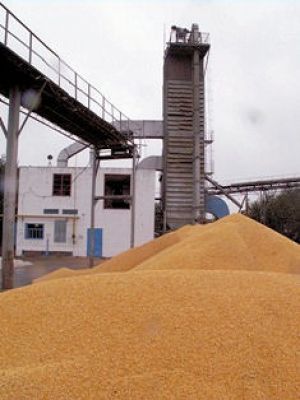 Фото елеватора Ichnianske KhPP - компанія DPZKU - Чернігівська область - AgroPost
