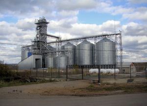 Photo of Novoarkhanhelskyy elevator elevator, company Novoarkhanhelskyy elevator, Kirovohrad Oblast