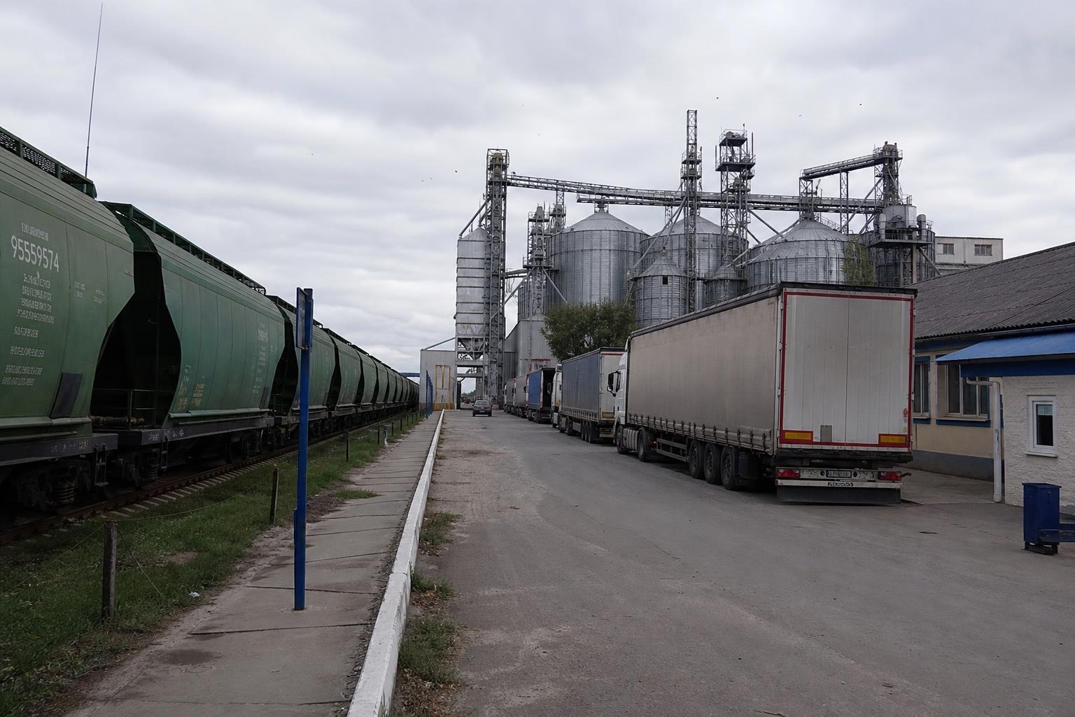 Зернова логістика перед індексацією тарифів: що рахувати продавцям і покупцям - AgroPost