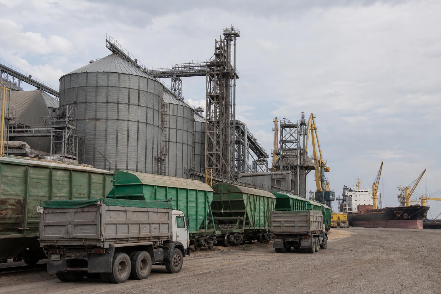 Зерновий експорт під тиском портових ризиків: що врахувати елеваторам і продавцям