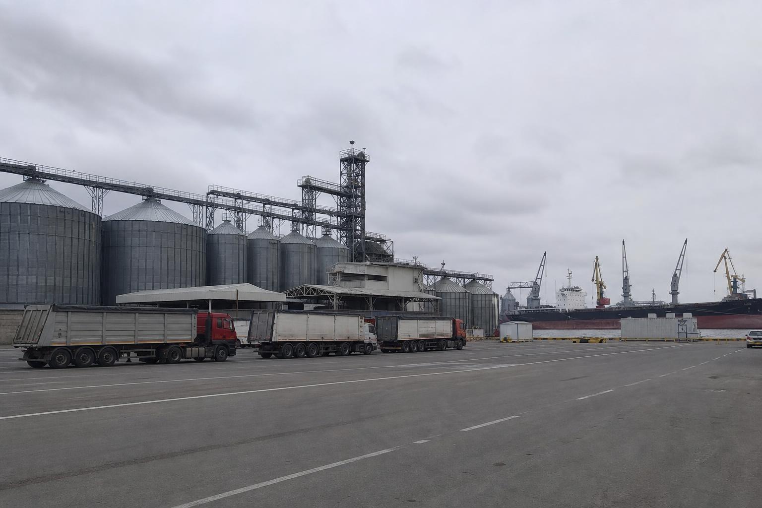 Зерновий ринок України: Чорноморська логістика знову в центрі уваги продавців і елеваторів