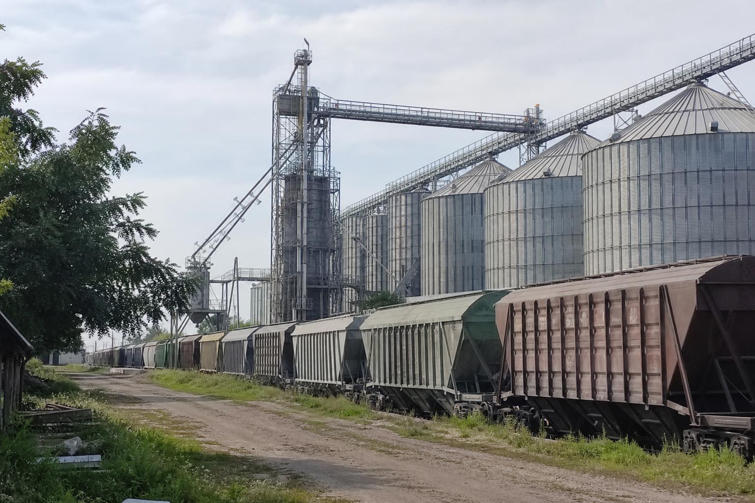 Зерновозів біля західного кордону стало втричі більше: що це змінює для продавців зерна