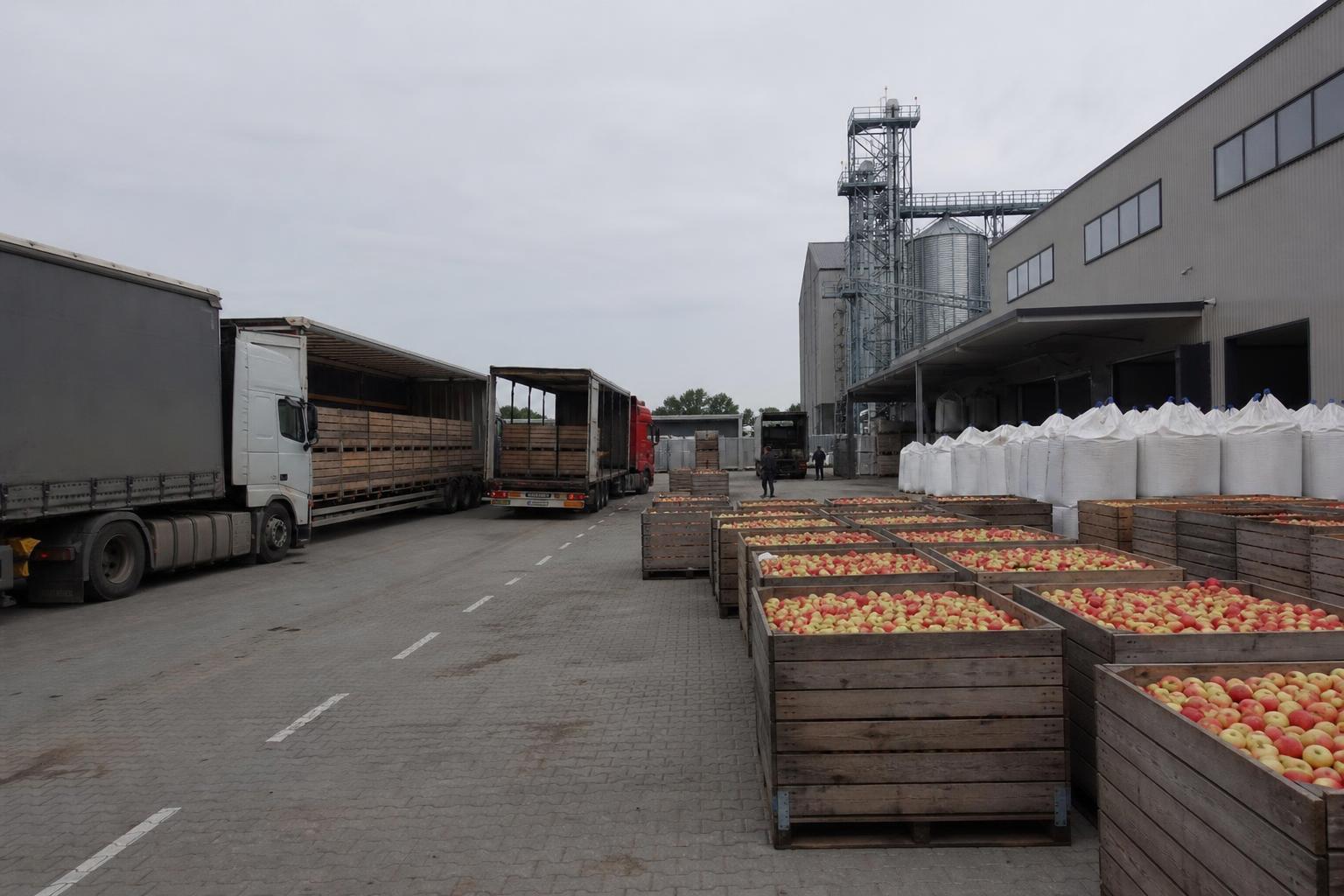 Аграрна логістика України: яблука додають експортних відправок, олійні формують основний вантажний попит