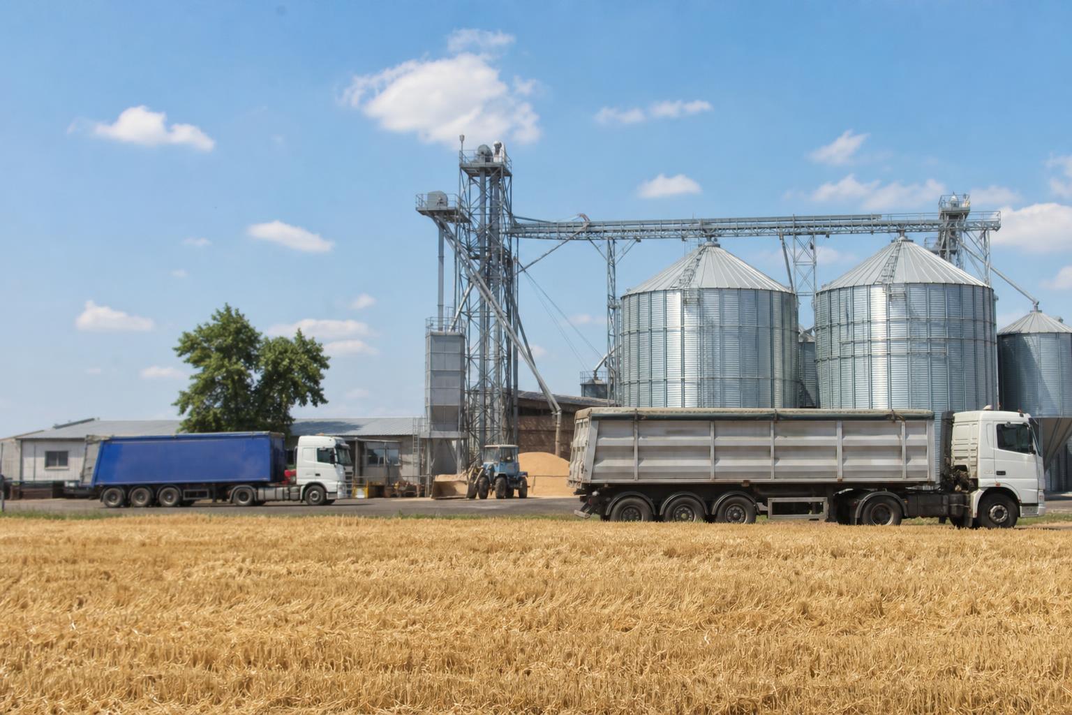 Зерно впирається в логістику: що продавцям і елеваторам врахувати на українському ринку