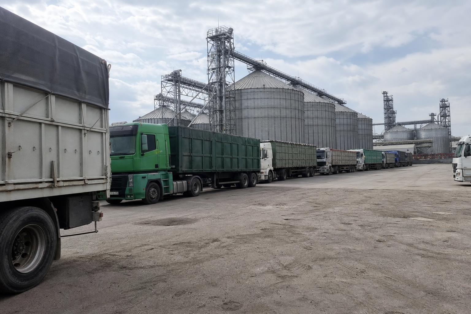 Зерновий ринок України: західна логістика зайнята, ліквідність стає ключовою для угод