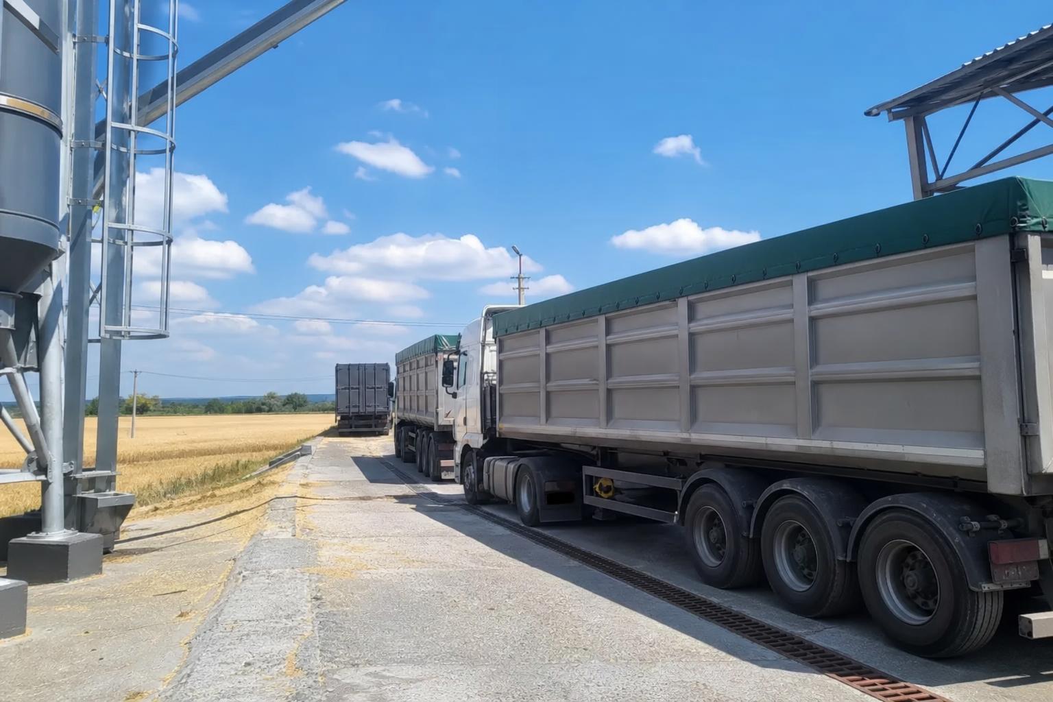 Зернова логістика України: експорт нижчий за торішній, а жнива на Одещині вже додають новий вантажопотік - AgroPost