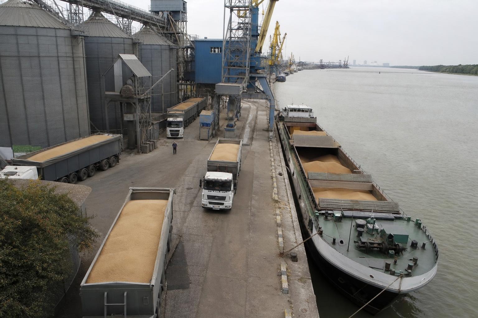 Зернова логістика зміщується до Дунаю та Констанци: що врахувати продавцям пшениці - AgroPost