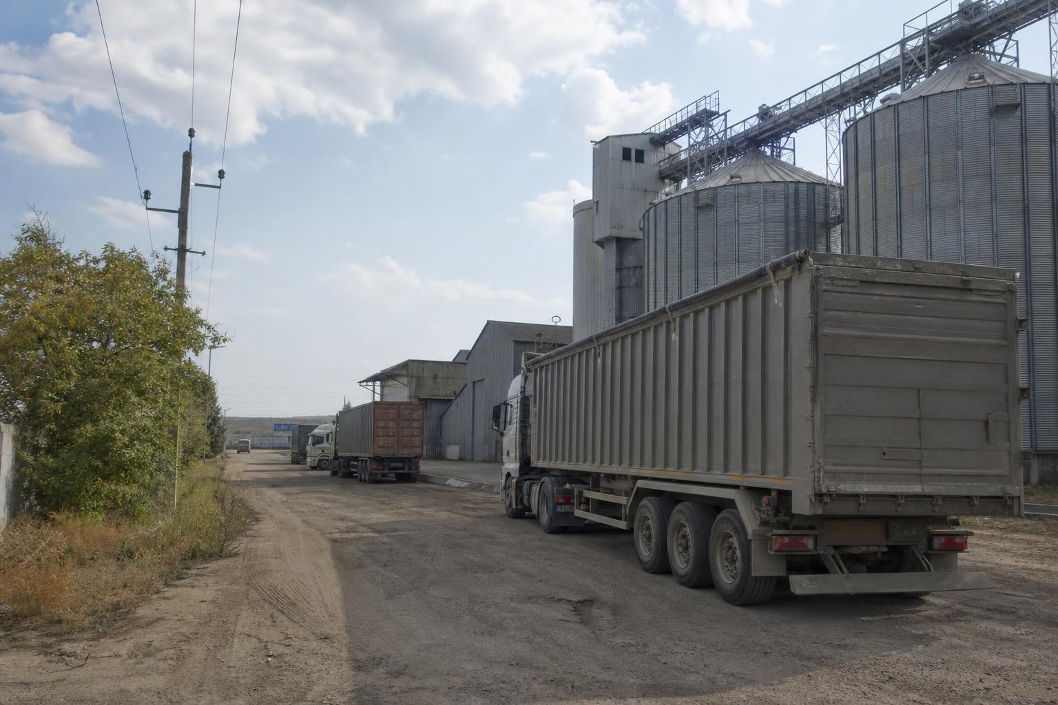 Автоперевезення зерна: довге плече дорожчає, короткі рейси дешевшають