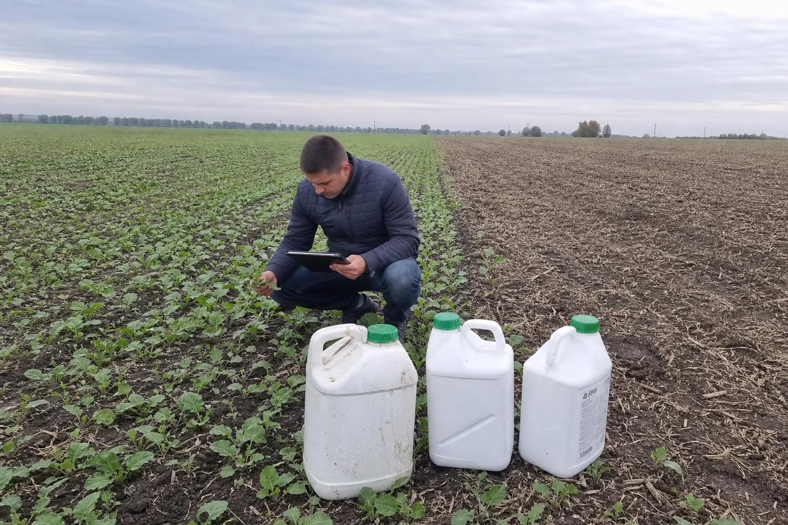 Осіння посівна зміщує попит на ЗЗР: ріпак уже майже на половині прогнозних площ