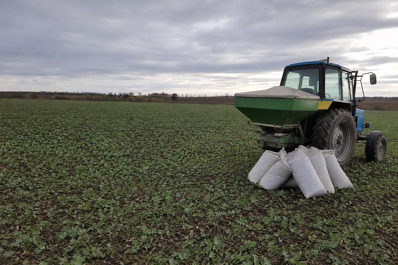 Ринок добрив України восени: попит залежить від вологи та планів під озимі