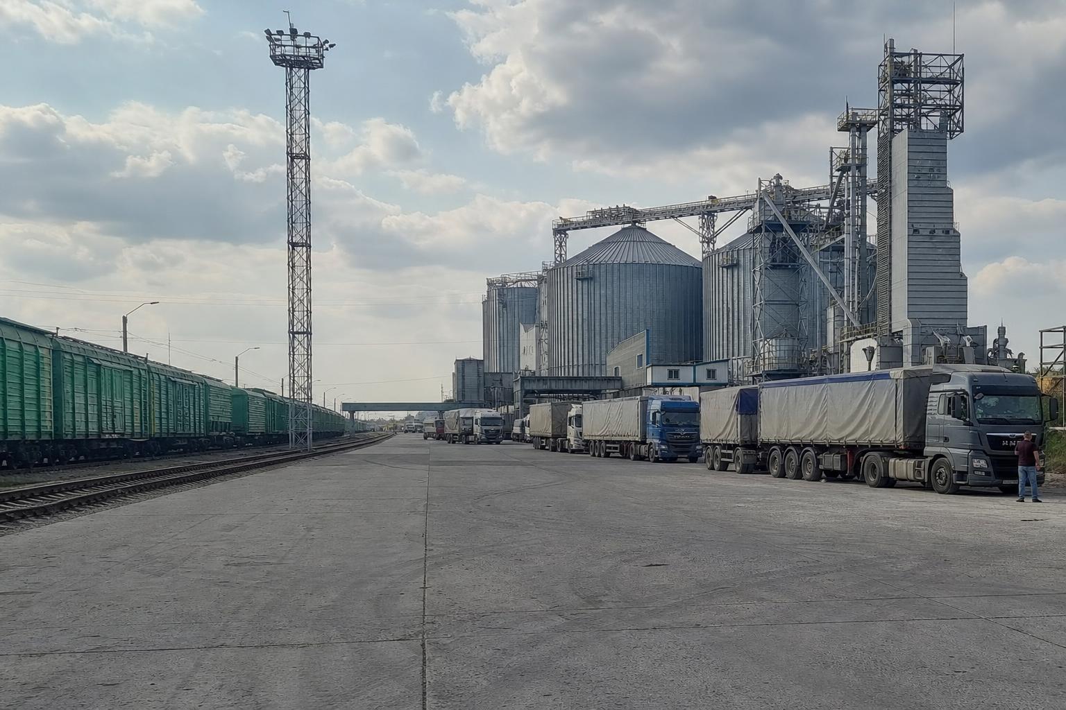Зернова логістика під тиском: що змінює блокування Чорного моря для експорту