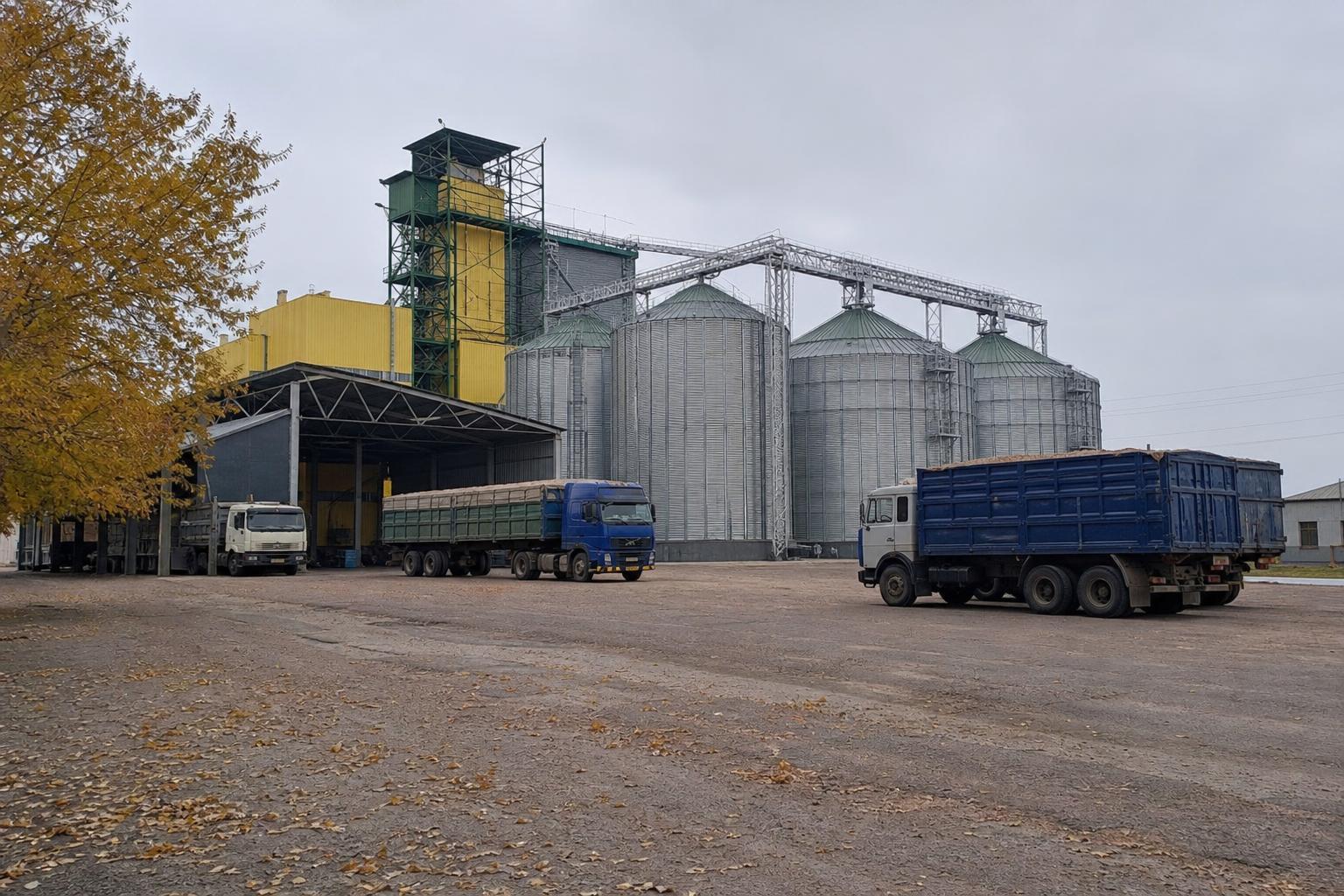 Зерновий ринок України: чому елеватор і логістика зараз важать не менше за ціну