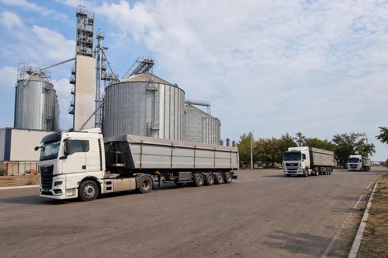 Ukrainian Agricultural Logistics: Grain Transportation Planning Amid Turkey's Demand Pause and Autumn Planting