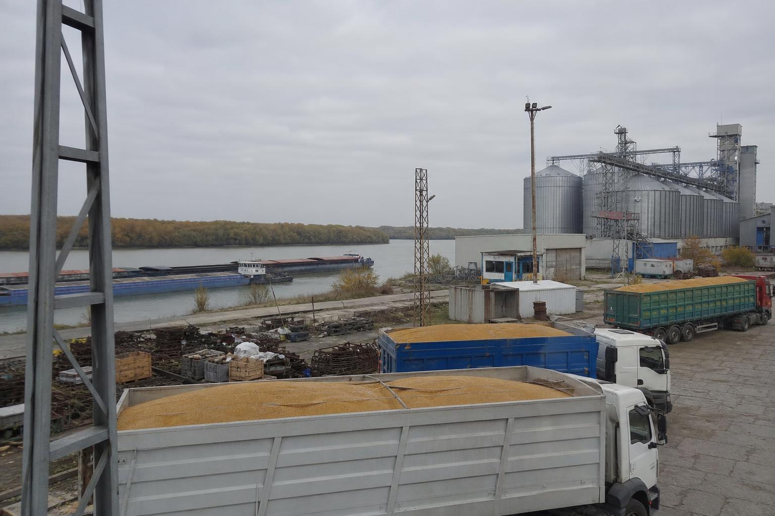 Дунайський базис під тиском: логістика знижує ціну кукурудзи нового врожаю - AgroPost