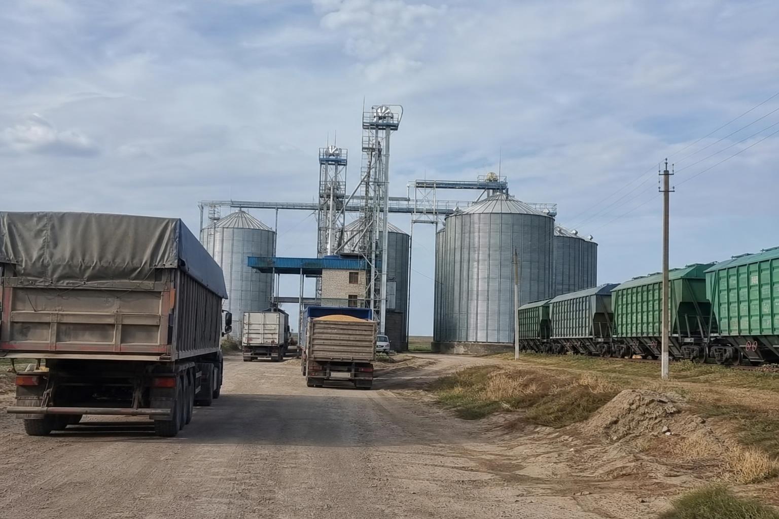 Аграрна логістика України: врожай тисне на перевезення, а елеваторні ризики стають критичними - AgroPost