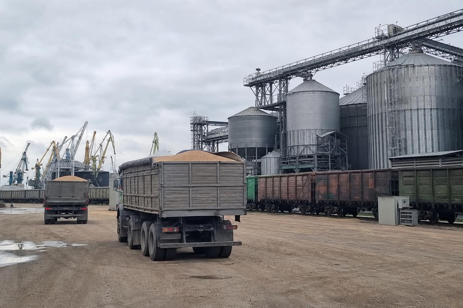 Експортна логістика: Констанца завантажена румунським зерном, а українська соя шукає вікна до Середземномор’я - AgroPost