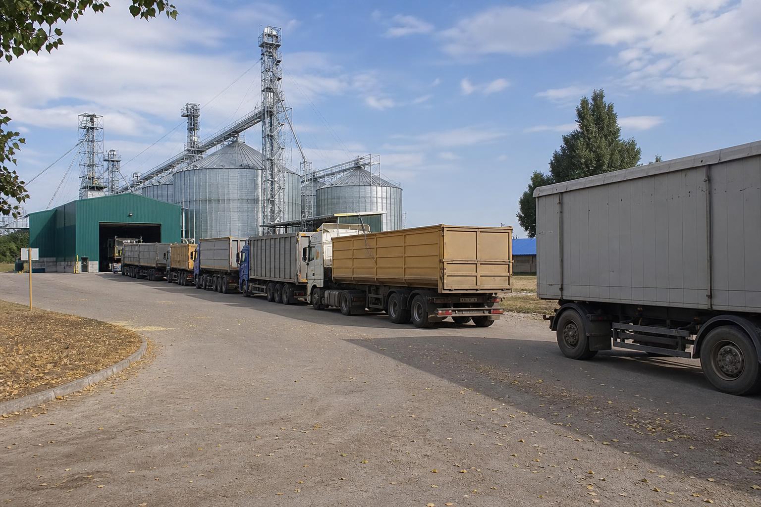 Зерновози дорожчають на коротких маршрутах: що відбувається з агрологістикою на початку жовтня - AgroPost