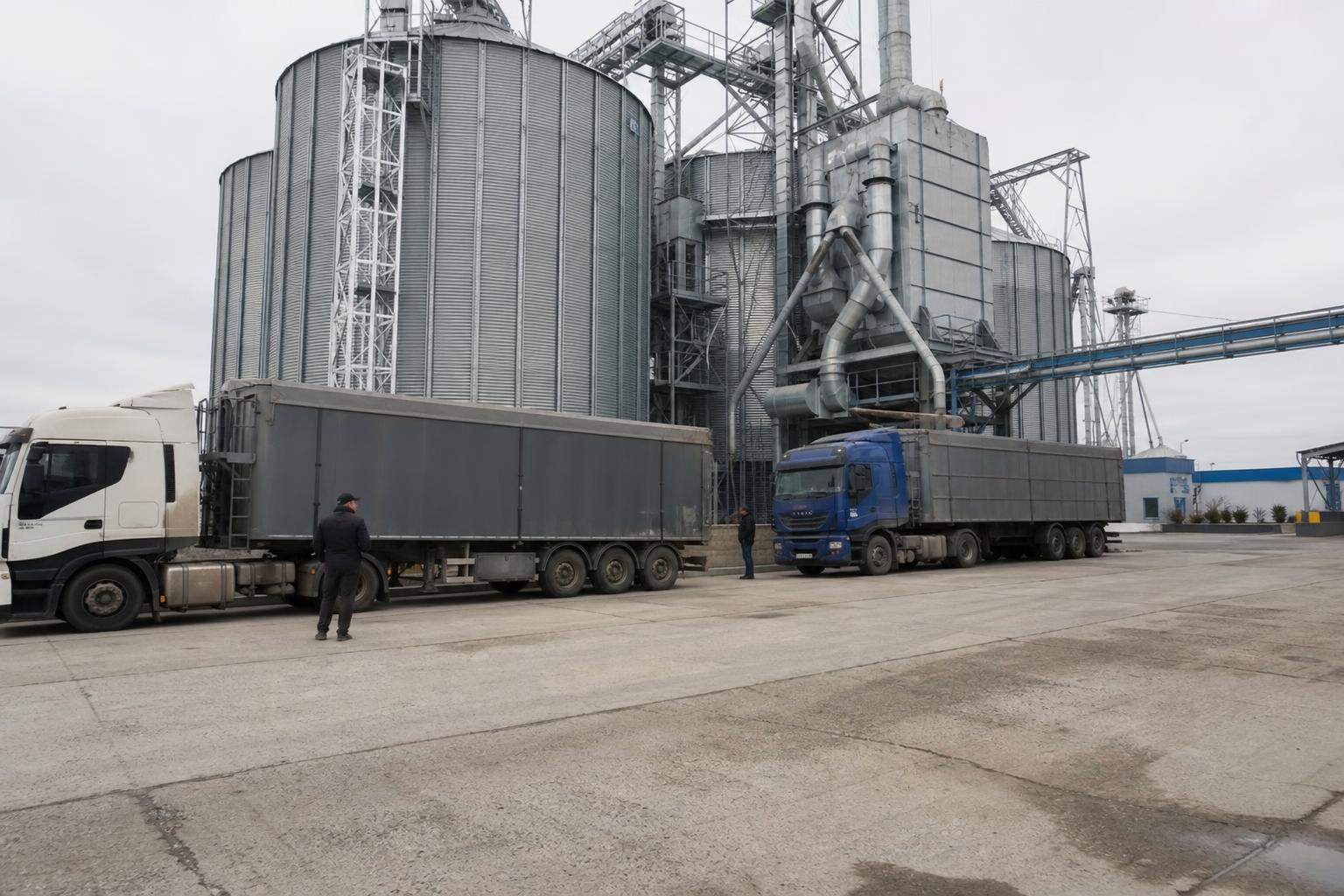Вересневий експорт пшениці різко пожвавив зерновий ринок України - AgroPost