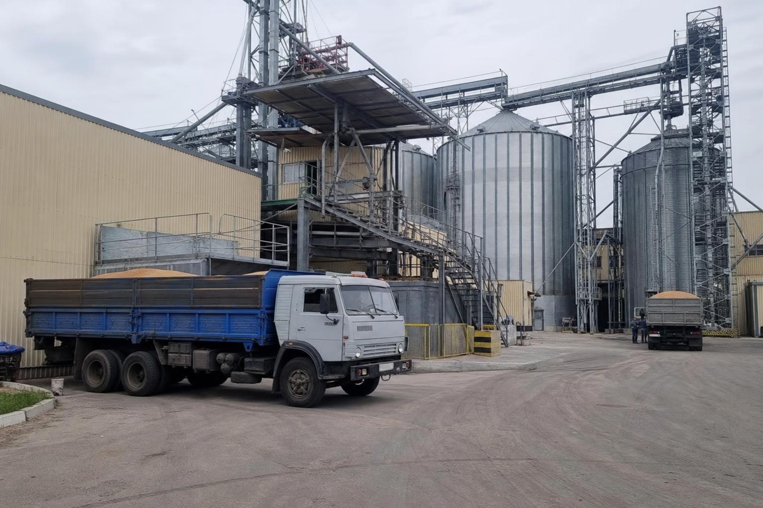 Barley Under Pressure from Stocks: What Is Happening in Ukraine's Grain Market