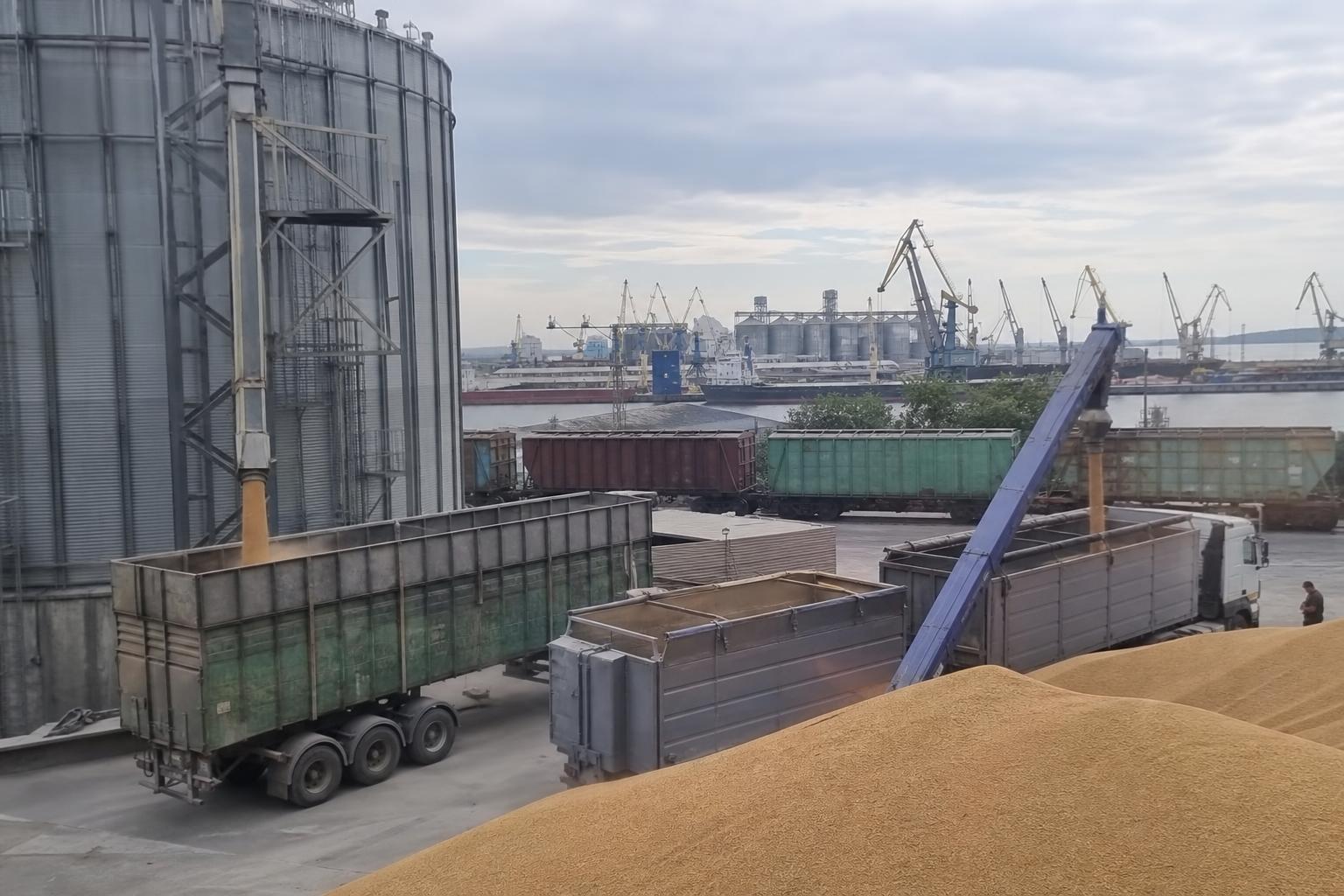 Аграрна логістика України: турецький фактор посилює конкуренцію за перевезення ячменю - AgroPost
