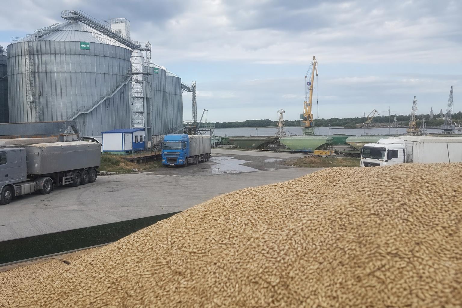 Ukrainian Grain Market: Weak Barley Demand and Romanian Logistics Expansion