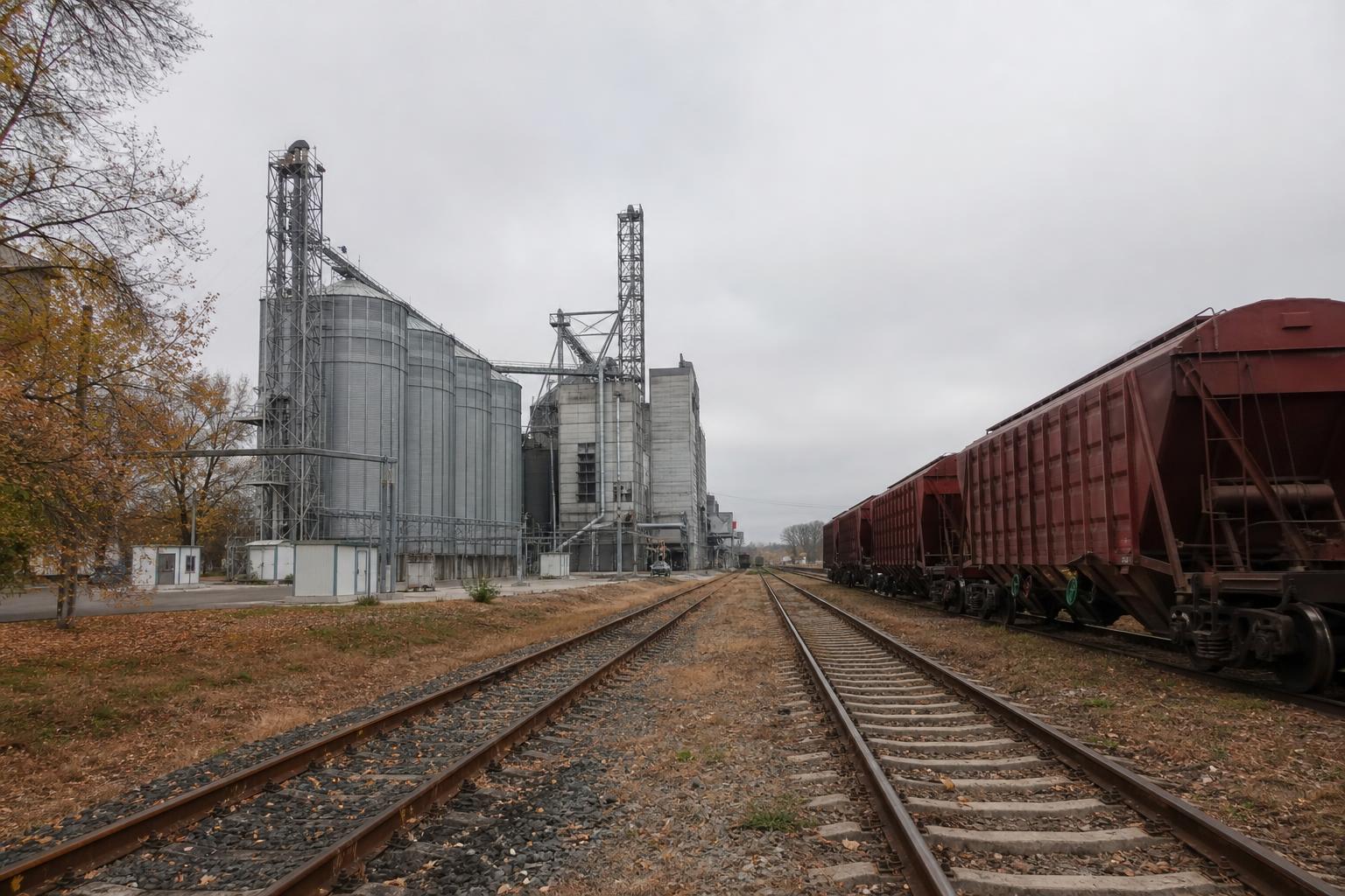 Ukraine's Grain Export by Rail: Western Borders Increase Freight Transfers