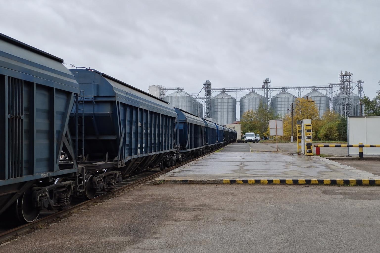 Зерновий експорт залізницею через західний кордон пожвавився: де зростає передача вагонів - AgroPost