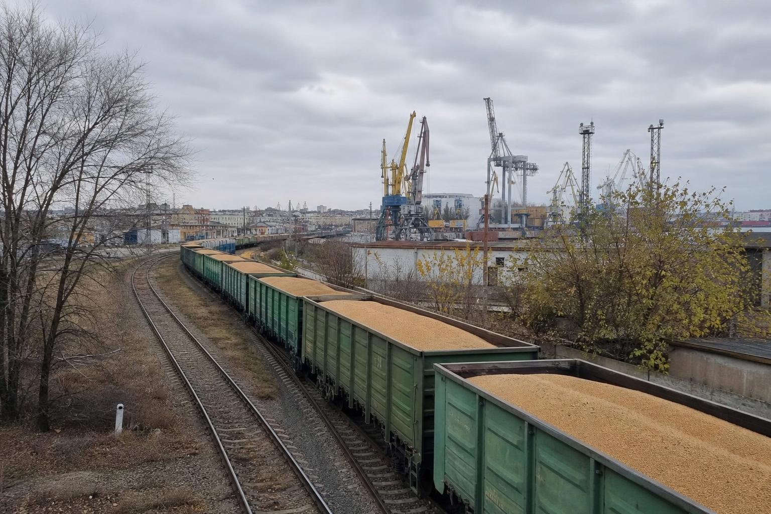 Grain Logistics to Constanța: Repairs Delay Transit but May Strengthen Route