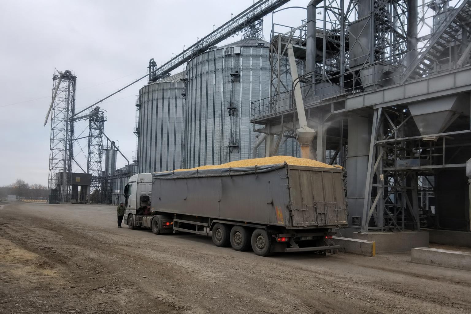 Elevators of NIBULON: Over 1 Million Tons of New Harvest Grain