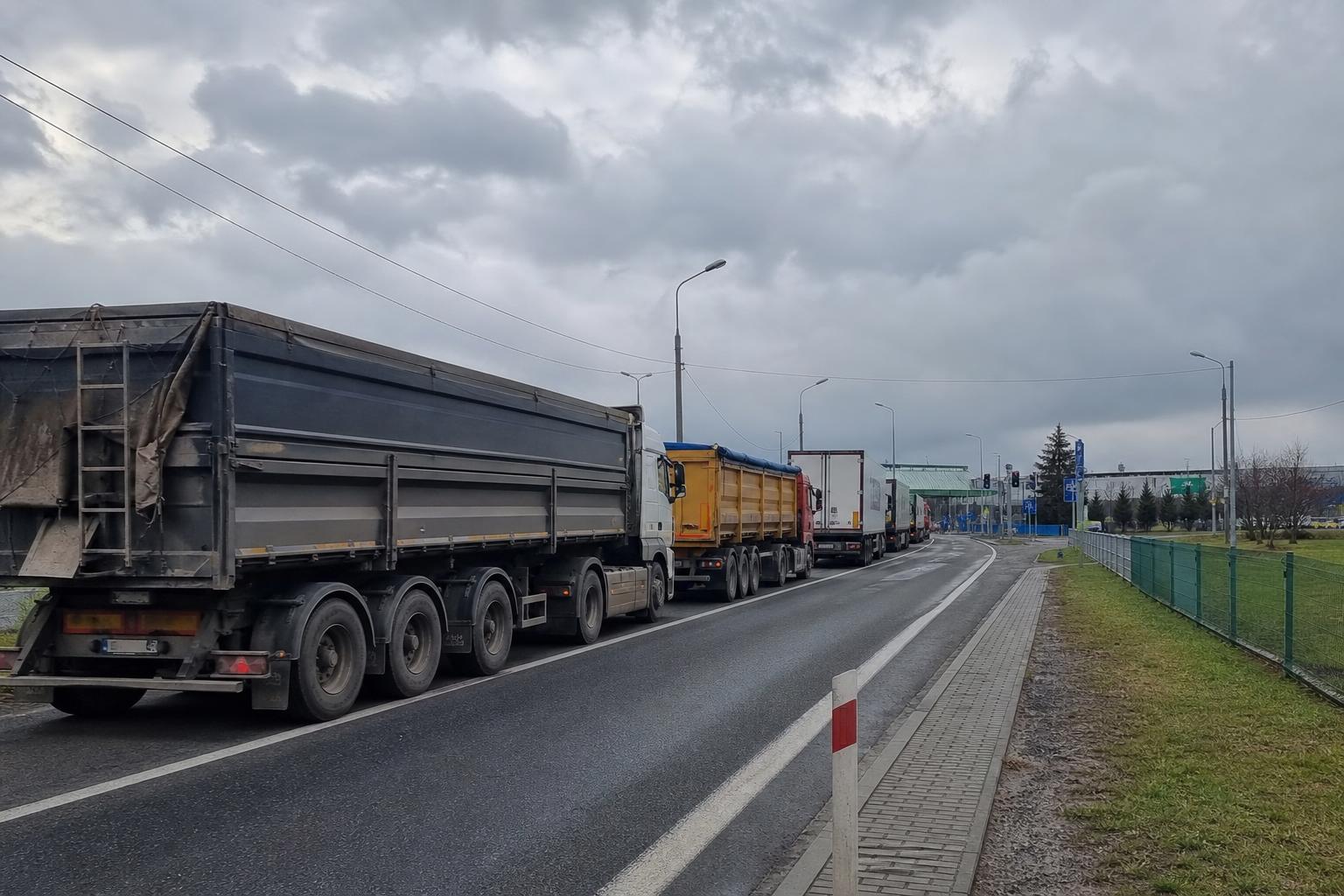Очікування на польському кордоні затримує продаж зерна з Тернопільщини - AgroPost
