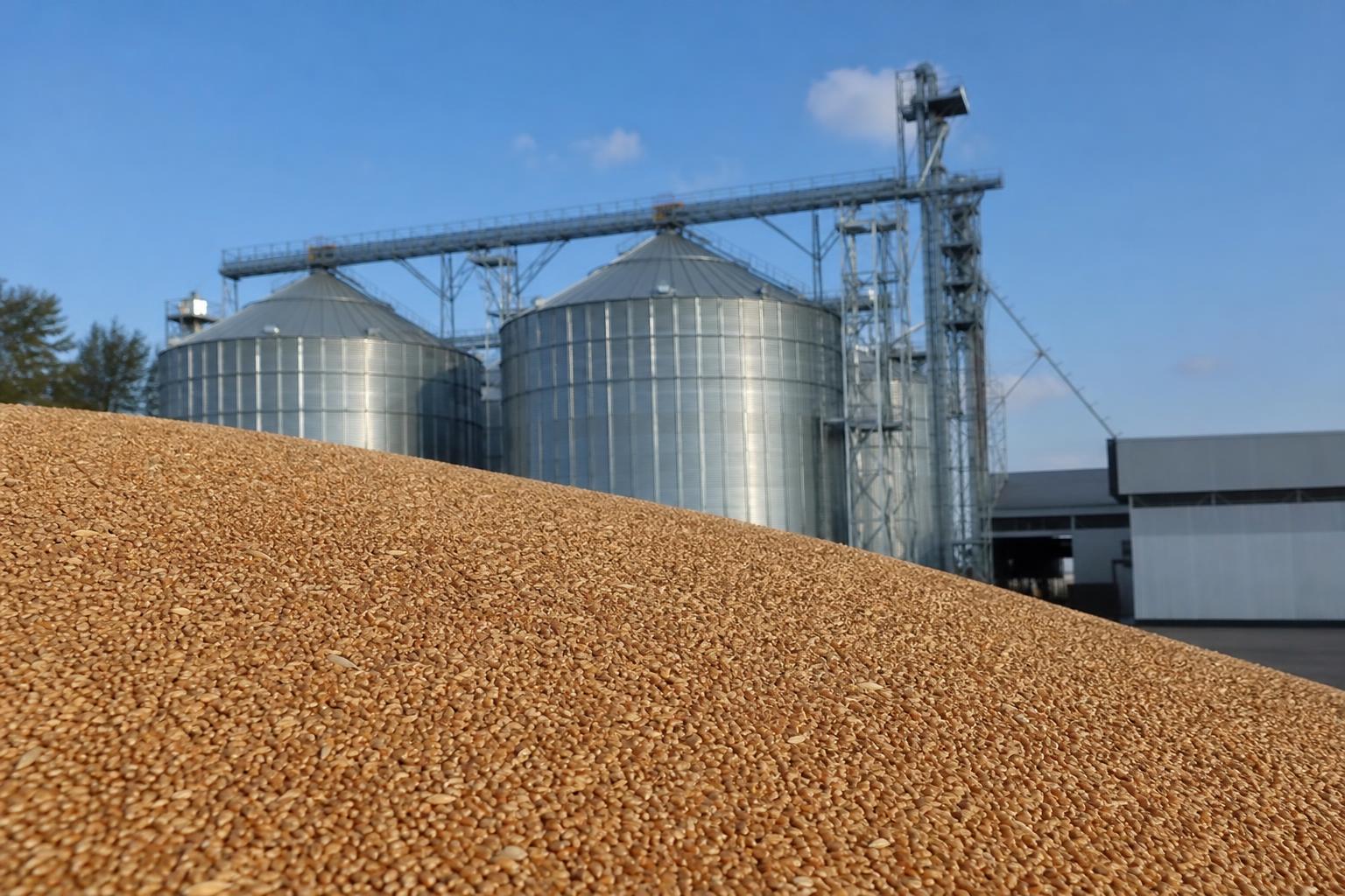 Canadian Wheat Boosts Competition, Ukraine Prepares Elevator Management for 60K Tons