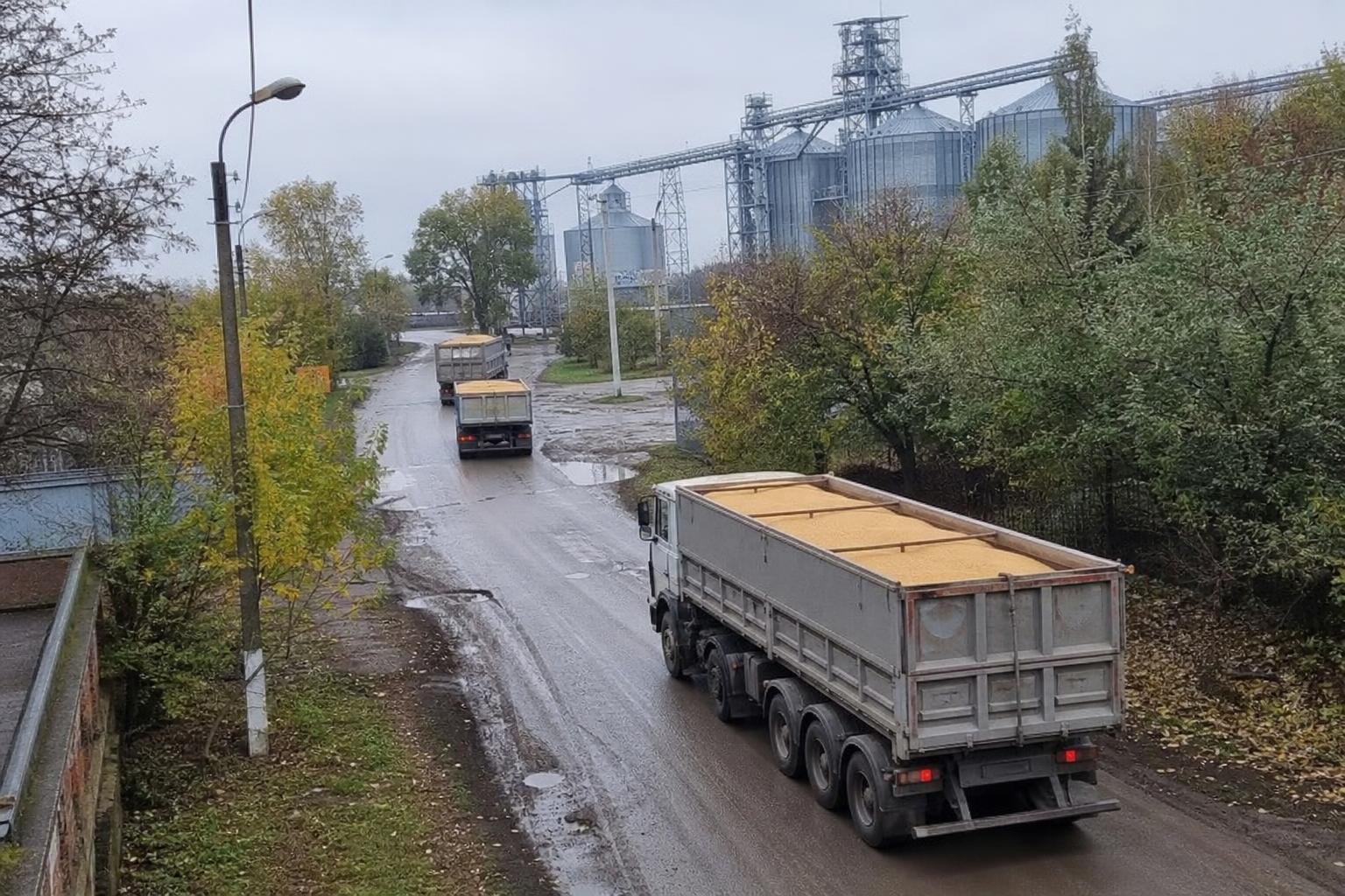 Grain Carrier Shortage Amplifies Transportation Cost Disparities