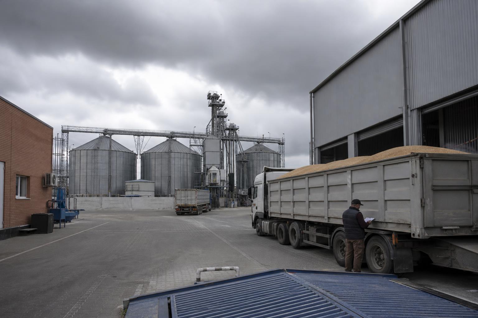 Експортні обмеження тиснуть на ліквідність зернового ринку України - AgroPost