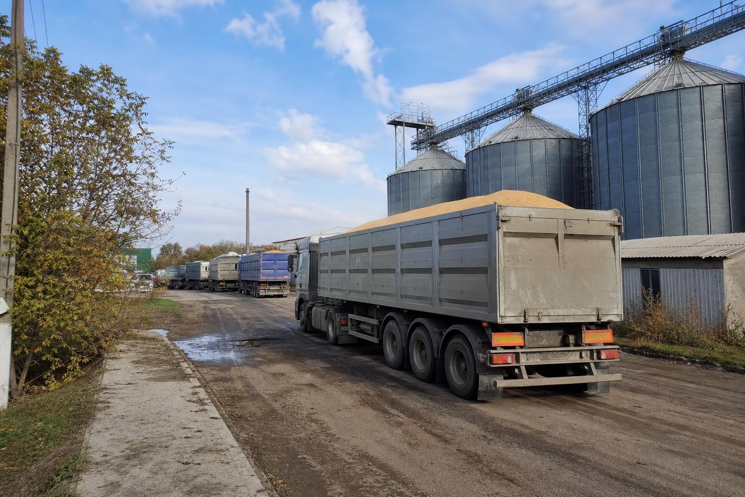 Автоперевезення зерна дорожчають: що врахувати під час продажу врожаю - AgroPost