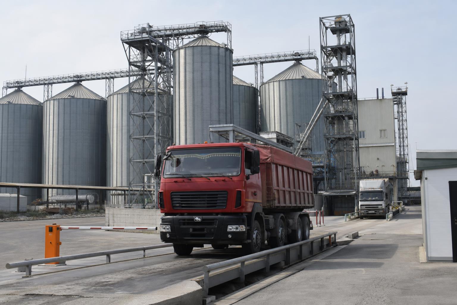 Експортний попит і цифрові торги: що формує продаж зерна в Україні - AgroPost