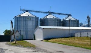 Фото елеватора Askold-Ahro - компанія PSP Askold-Ahro - Черкаська область - AgroPost